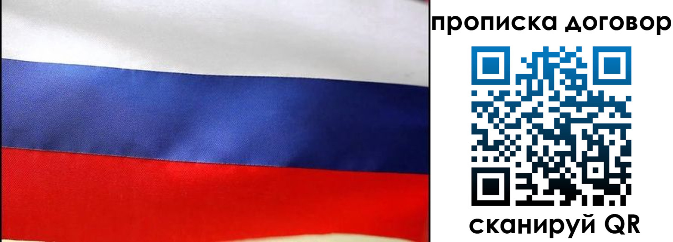 прописка гарантия в Талдоме